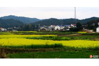 春華山村攜手美天共建美好家園